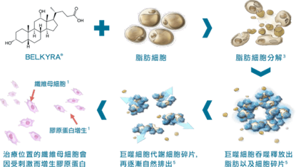 倍克脂-298就是美
